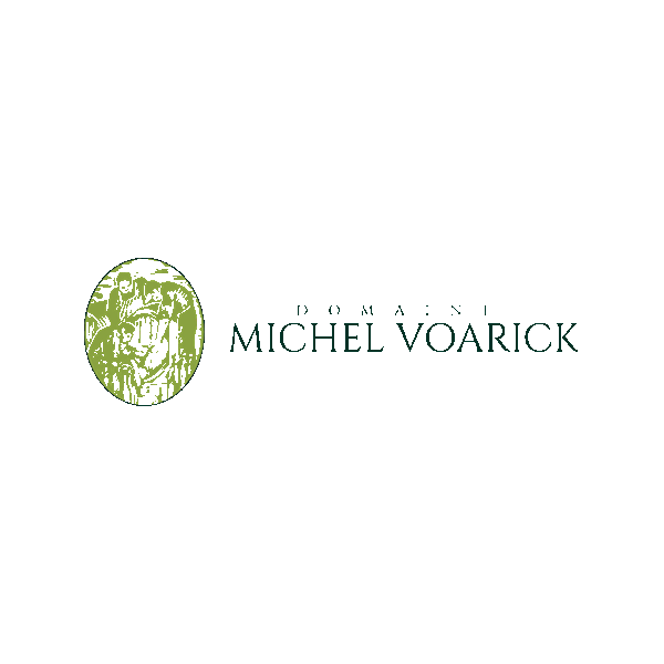 Michel Voarick